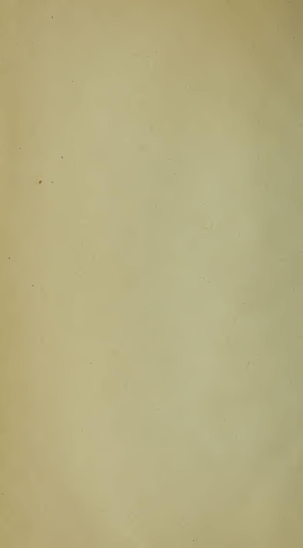 Image of page -6